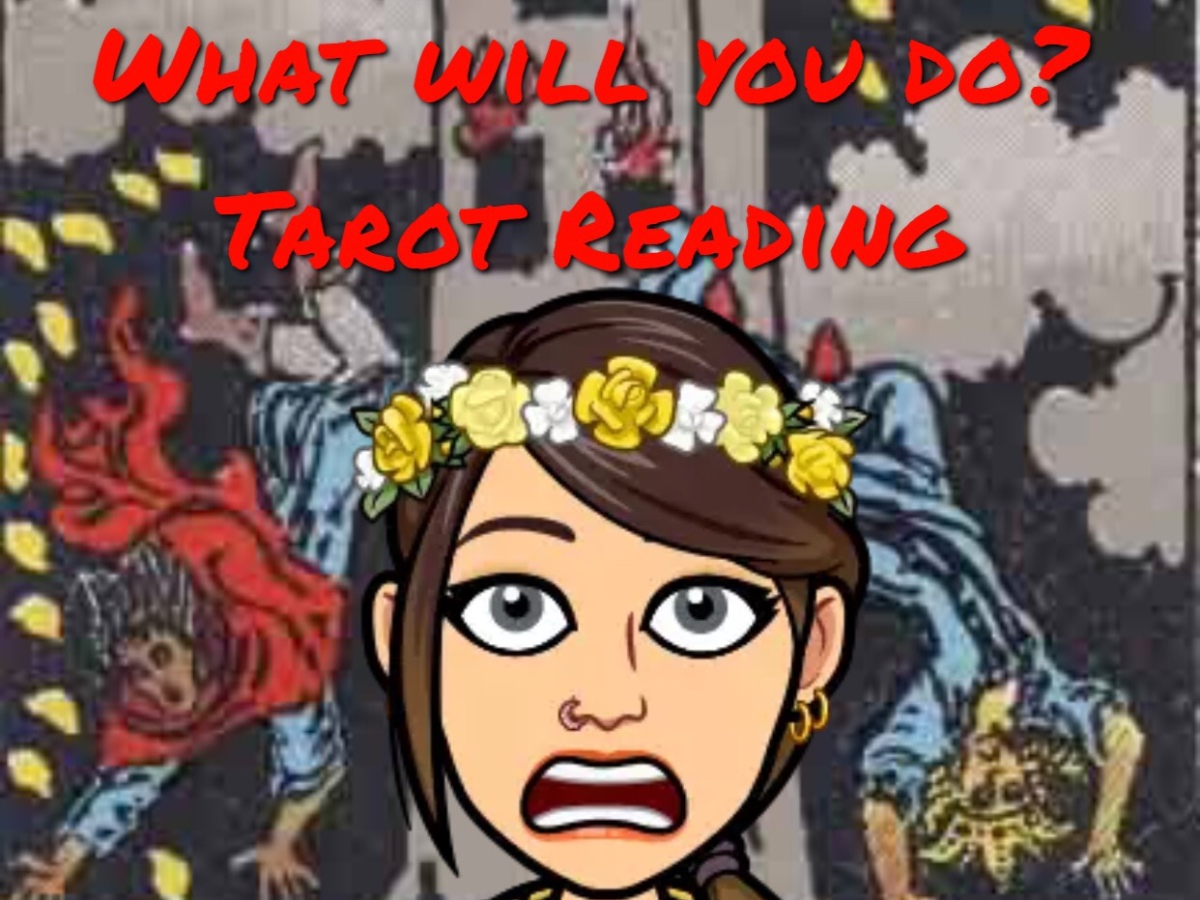 What Will You Do? Tarot Reading